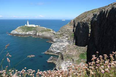 RSPB reserve South Stack