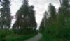Newborough Forest